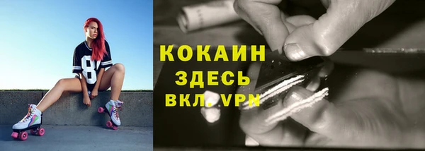 амф Алексин