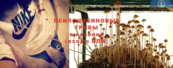 гашик Алзамай