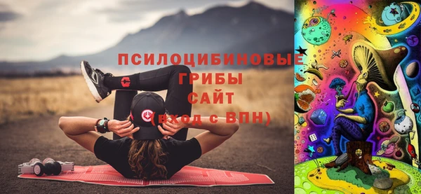 гашик Алзамай