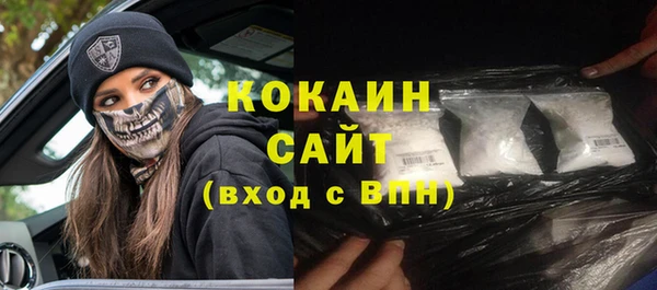 гашик Алзамай