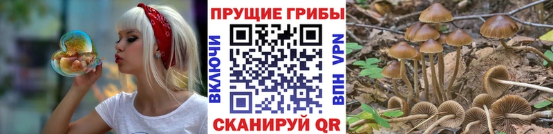 Галлюциногенные грибы MAGIC MUSHROOMS  Любань 
